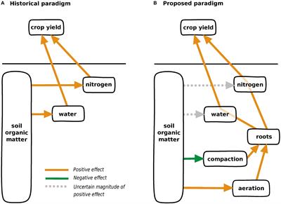 Soil Organic Matter as Catalyst of Crop Resource Capture